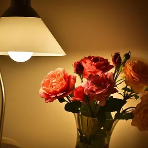 https://old-town-apartments-tyn.praguehotelsweb.com